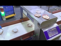 Автоматический конвейер Промышленный пищевой металлоискатель оборудование для безопасности