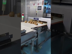 Автоматический конвейер металлоискатель 0.5 мм чувствительность Проверка пищевых / косметических сырьевых материалов