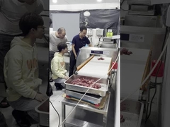 Металлоискатель качества еды