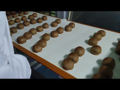 0.01г Разрешение металлоискатель для пищевой обработки защищает ваши продукты от загрязнения металлами